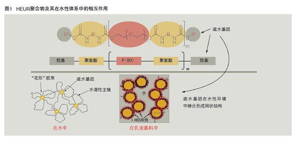 未命å?9.jpg 未命å?9.jpg
