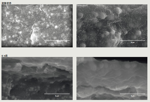 圖片.png 圖片.png