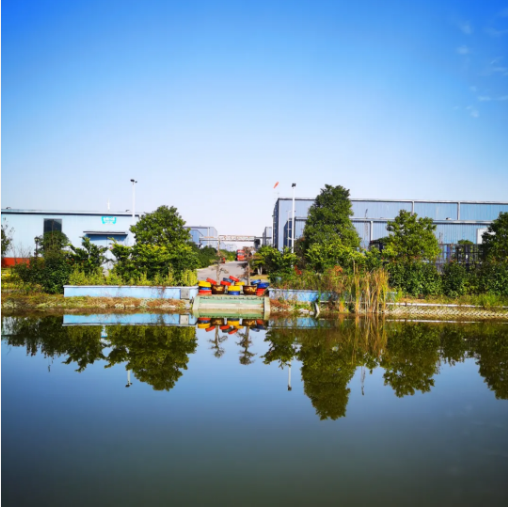 圖片8.png 圖片8.png